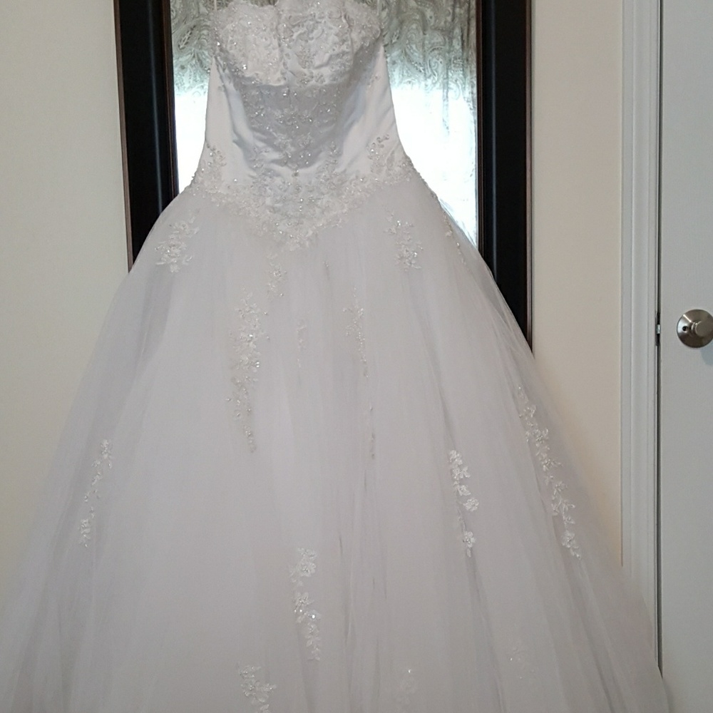 Wedding Dress - Picture 5 of 5
